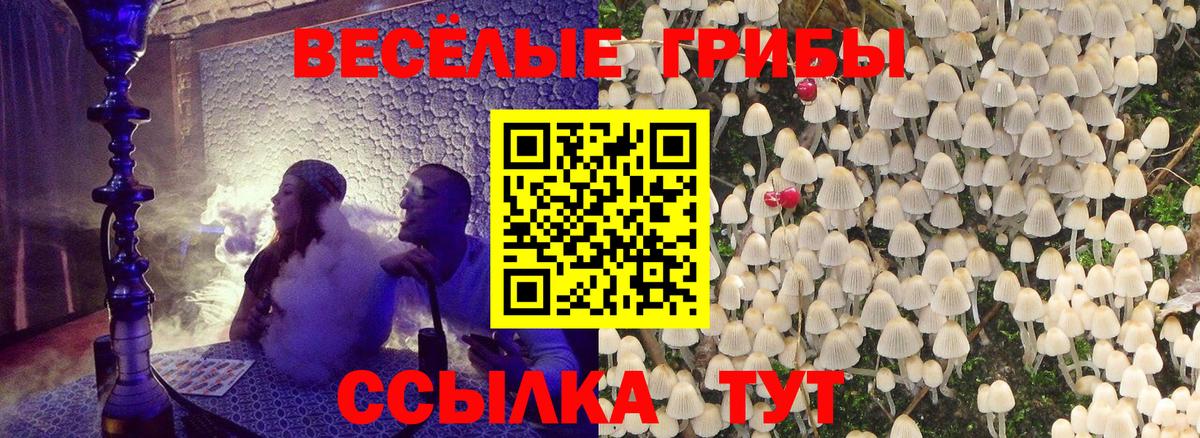 Пушкино  Псилоцибиновые грибы мухоморы  Вход с VPN 