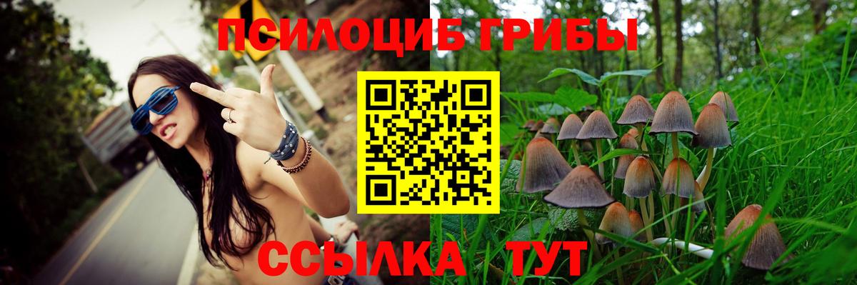 Галлюциногенные грибы Magic Shrooms Пушкино